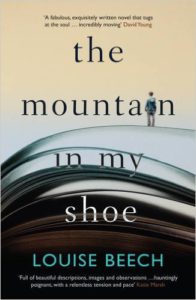 the-mountain-in-my-shoe